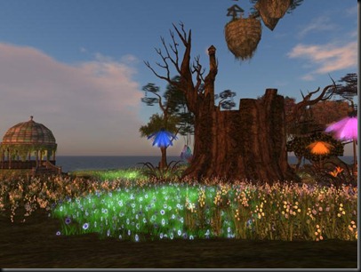 The looking glass_001